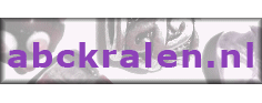 ABC kralen