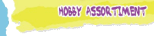 Hobbyshop het annemoontje
